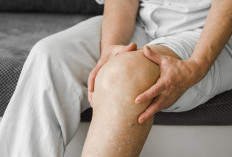 Tak Perlu Operasi! Ini 10 Obat Herbal Paling Ampuh untuk Nyeri Sendi