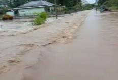 Pemkab Manokwari dan Pemprov Papua Barat Percepat Penanganan Banjir, Normalisasi Sungai Dikebut