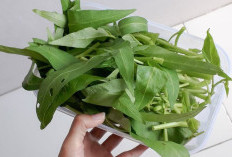 9 Manfaat Kangkung bagi Kesehatan yang Sudah Diteliti, Bisa Bantu Atasi Anemia hingga Insomnia
