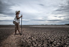 El Nino Sangat Kuat Menguat, BMKG Keluarkan Peringatan Kekeringan untuk Banyak Wilayah Indonesia