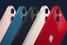 5 Rekomendasi iPhone Paling Layak Digunakan di Tahun 2026, Cocok untuk Pemula hingga Upgrade dari Android