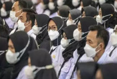 Kabar Terbaru Honorer Papua Barat 2022-2024, BKD Sebut Ada 1.245 Orang Menanti Keputusan Gubernur