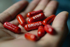 Polda Papua Barat Daya Bakar 8,2 Kg Ganja, Tiga Tersangka Ikut Menyaksikan