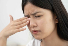 Nutrisi Penting untuk Mata Sehat di Tengah Aktivitas Digital