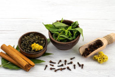 Jangan Asal Minum! Ini Daftar Obat Herbal yang Terbukti Punya Manfaat Menurut Penelitian