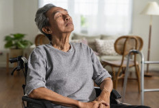 Peneliti Berhasil Pecahkan Misteri Penyebaran Alzheimer, Bisa Jadi Kunci Obat Masa Depan