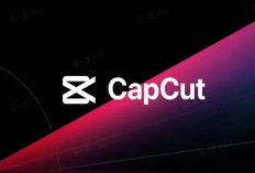 Tanpa Modal, Ini Cara Menghasilkan Uang dari Program Pelopor CapCut