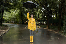 Update Prakiraan Cuaca Papua Barat: Ini Kondisi Cuaca Manokwari, Fakfak, hingga Pegunungan Arfak