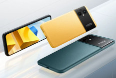 Viral Poco M5 Harga Rp800 Ribuan, Asli atau Rekondisi? Ini Hasil Review Lengkapnya