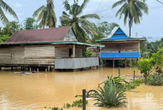 Banjir Manokwari: Tim SAR Evakuasi Sekitar 100 Warga di Wosi Papua Barat