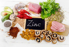 Kenapa Tubuh Membutuhkan Zinc Setiap Hari?