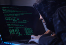 VPN Pemerintah Jepang Diretas, Sekitar 246.000 Data Pegawai dan Individu Terancam Bocor