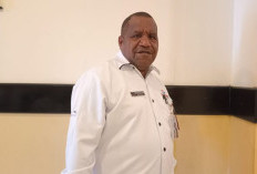 PSN di Tanah Papua Disorot Ombudsman, Hak Tanah Adat Jadi Isu Krusial