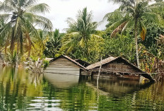 Pemkab Kaimana Salurkan Bantuan untuk Warga Esrotnamba Terdampak Luapan Danau Jamarfata