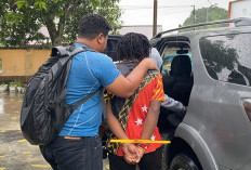 Satgas Cartenz Ungkap Jaringan KKB, 11 Orang Diamankan