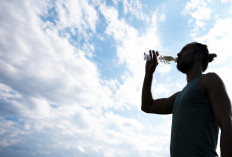 BMKG Ungkap Potensi El Nino Menguat, Sejumlah Wilayah Indonesia Terancam Kekeringan