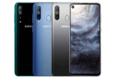 Samsung Galaxy A08 2026 Layak Dibeli? Ini Review Desain, Kamera, dan Performa