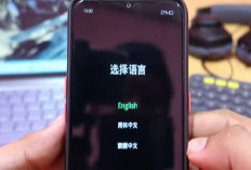 HP OPPO Tampil Tulisan Cina Terus? Bisa Jadi Masalah Tombol Volume, Ini Solusinya