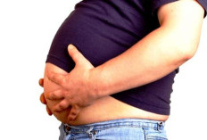 3 Minuman Alami yang Terbukti Membantu Membakar Lemak Perut dan Meningkatkan Metabolisme