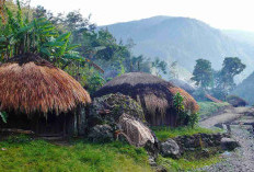 Menembus Waktu ke Jantung Papua: 5 Alasan Magis Mengapa Lembah Baliem Wajib Masuk Bucket List Kamu