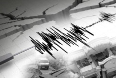 Info Gempa Hari Ini: Waropen Papua Diguncang M 3,8, BMKG Sampaikan Peringatan Penting