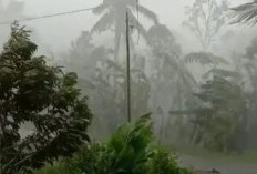 Prakiraan Cuaca Papua Barat Rabu 1 April 2026: Mayoritas Wilayah Berpotensi Hujan Ringan