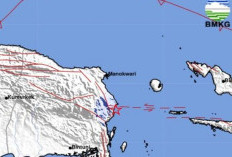 Gempa Ransiki Hari Ini Magnitudo 3,8 Guncang Manokwari Selatan, BMKG: Kedalaman 10 Km