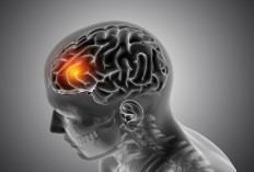 Ilmuwan Ungkap Cara APOE4 Merusak Pembuluh Darah Otak pada Penyakit Alzheimer