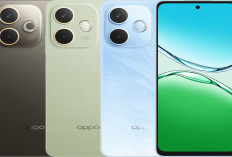 Cari HP OPPO? Ini Daftar Harga & Spesifikasi Terbaru Februari 2026