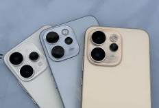 5 HP Terbaru Februari 2026, Mulai Rp Jutaan sampai Flagship Paling Gahar