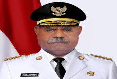 Elisa Kambu Soroti Insiden TNI vs KKB di Maybrat, Dua Prajurit Gugur