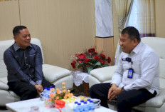 Tolong rapihkan SEMUA lalu tulis ulang (rewrite) artikel ini sampai tidak ada lagi unsur plagiat dan tidak bol