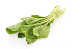 Cara Menanam Sawi di Pot atau Polybag di Rumah, Mudah dan Cepat Panen 2 Bulan!