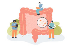 Probiotik, Prebiotik, Sinbiotik, dan Postbiotik: Apa Perbedaannya bagi Kesehatan Usus?