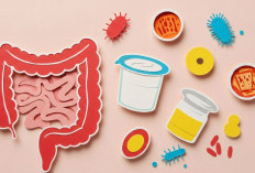 Usus Bermasalah? Kenali Gejalanya Sejak Dini