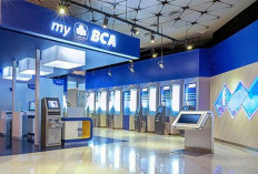 Kesempatan Emas! BCA Buka Lowongan Kerja untuk Lulusan S1–S2, Banyak Posisi Strategis