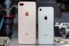 15 Cara Cek iPhone Bekas agar Tidak Tertipu, Wajib Tahu Sebelum Membeli