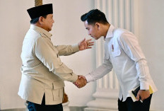 Kunjungan Wapres Gibran ke Papua Barat Daya Dinilai Strategis untuk Percepatan Pembangunan Papua