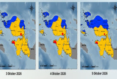 BMKG Prediksi Kualitas Udara Papua Barat dan Papua Barat Daya 3-5 Oktober 2026
