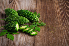 Sering Minum Jus Pare untuk Diabetes? Ini Penjelasan Medisnya